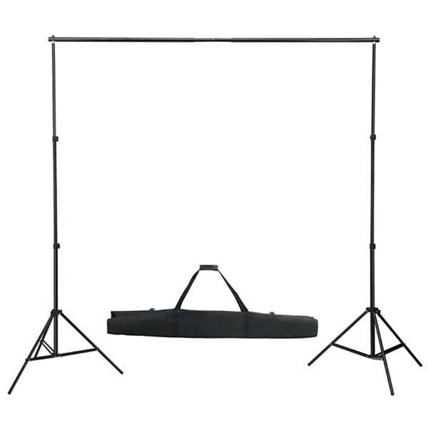 vidaXL Kit de estúdio fotográfico com conjunto de iluminação e fundo