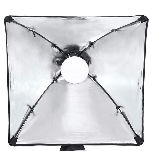 vidaXL Kit estúdio fotográfico c/ conj. de iluminação/fundo/refletor