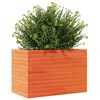 vidaXL Vaso/floreira de jardim 70x40x45,5 cm pinho maci&ccedil;o castanho mel