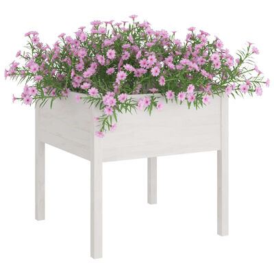 vidaXL Vaso/floreira de jardim 2 pcs 70x70x70 cm pinho maciço branco