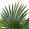 Imagem em miniatura do produto 2 de 2