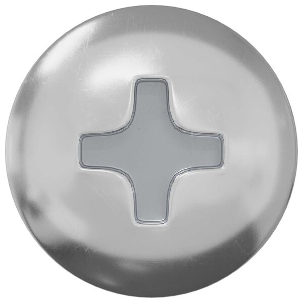 vidaXL Prego Autoperfurante 10976 pcs Revestido de zinco A&ccedil;o