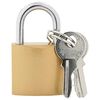 vidaXL U Lock com Chaves 100 unid. Lat&atilde;o Ferro