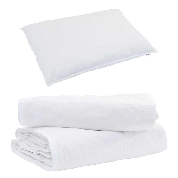vidaXL Edredom 2-em-1 com travesseiro 2 pcs Branco Pena de ganso