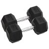 vidaXL Halteres 2 pcs 10 kg total ferro fundido