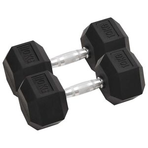 vidaXL Halteres 2 pcs 10 kg total ferro fundido