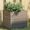 vidaXL Vaso/floreira de jardim 2 pcs 36x30x32 cm vime PE cinzento