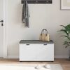 vidaXL Banco de Hall com almofada com porta Branco 80 x 46 x 46 cm