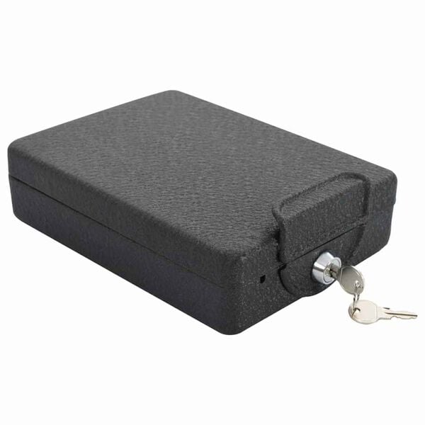 vidaXL Cofre para Carro com bloqueio Preto 22 x 16 x 7 cm A&ccedil;o