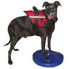 FitPAWS Disco de equil&iacute;brio para animais de estima&ccedil;&atilde;o 36 cm azul