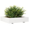 vidaXL Vaso/floreira de jardim 110x110x26,5 cm pinho maci&ccedil;o branco