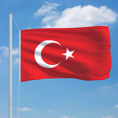 vidaXL Bandeira da Turquia 90x150 cm