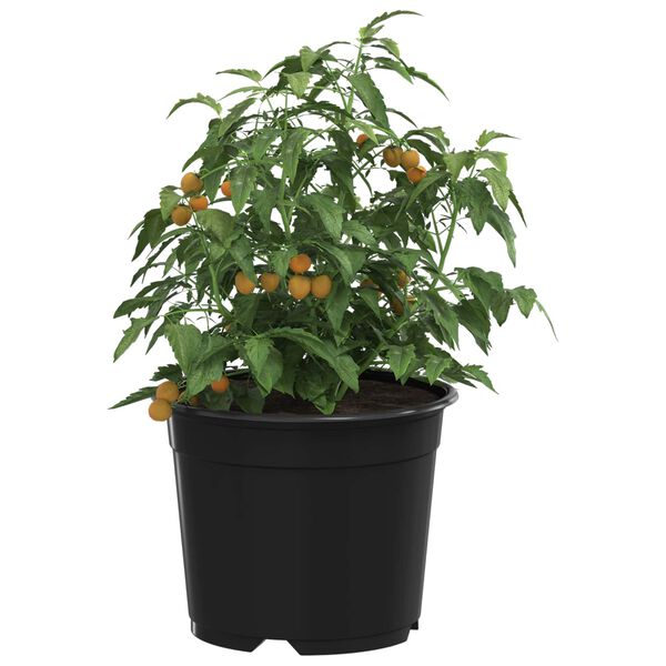 A apresentar a imagem do produto 3 de 11
