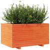 vidaXL Vaso/floreira de jardim 90x60x49,5 cm pinho maci&ccedil;o castanho mel