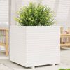 Imagem em miniatura do produto 2 de 10