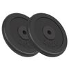 vidaXL Discos de muscula&ccedil;&atilde;o 2 pcs 2x20 kg ferro fundido