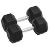 vidaXL Halteres 2 pcs 12,5 kg total ferro fundido
