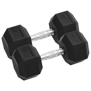 vidaXL Halteres 2 pcs 12,5 kg total ferro fundido