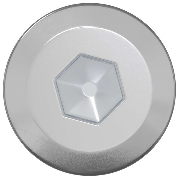 vidaXL Parafusos de Madeira 12 pcs Prateado M6 x 70 mm A&ccedil;o