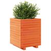vidaXL Vaso/floreira de jardim 40x40x49,5cm pinho maci&ccedil;o castanho mel