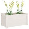 vidaXL Vasos/floreiras jardim 2 pcs 60x31x31 cm pinho maciço branco