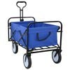 vidaXL Carrinho de Compras Dobr&aacute;vel com Freios Azul 94 x 53 x 99 cm