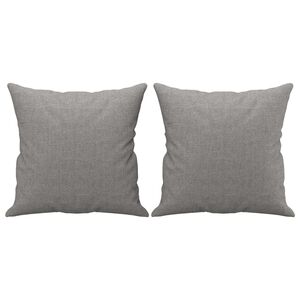 vidaXL Almofadas decorativas 2 pcs 40x40 cm tecido cinzento-claro