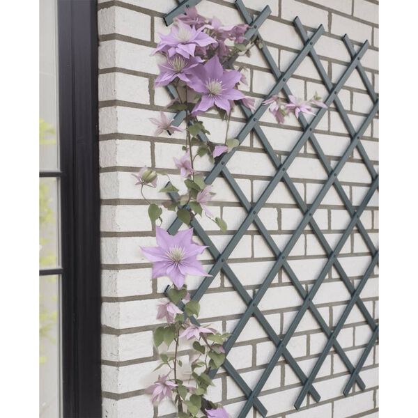 Nature Treli&ccedil;a de jardim 50x150 cm PVC antracite
