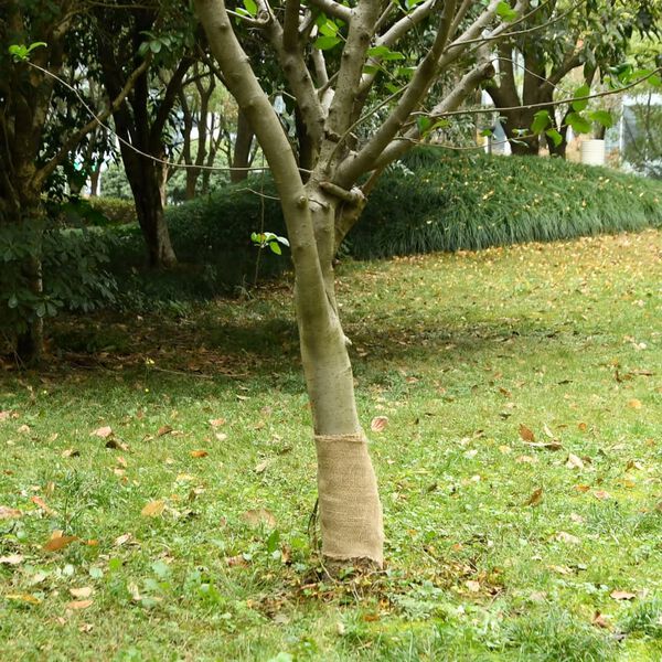 A apresentar a imagem do produto 2 de 7