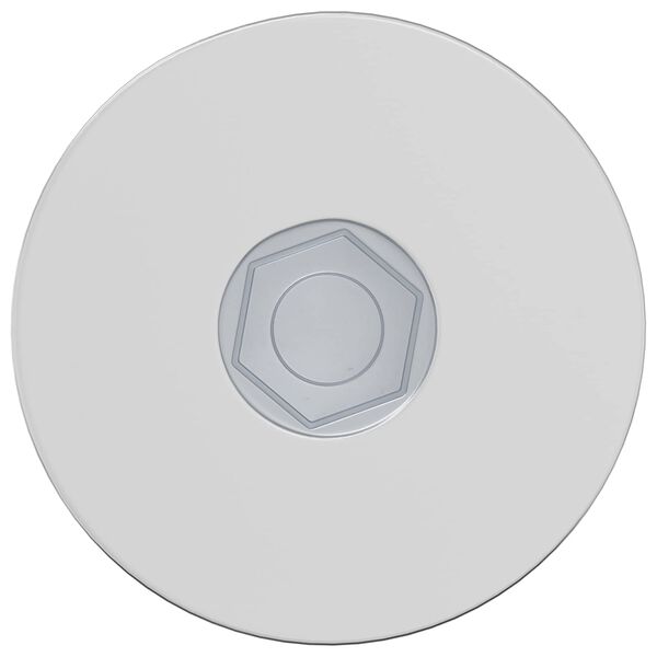 vidaXL Parafuso 2 pcs Revestido de zinco 5 x 40 mm Ferro