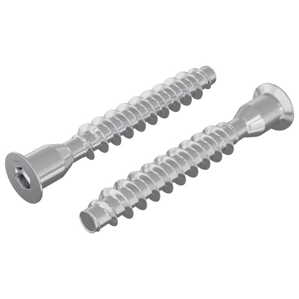 vidaXL Parafusos Confirmat 2 pcs Prateado &Oslash;7 x 50 mm Metal