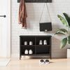 vidaXL Sapateira 69x35x50 cm derivados de madeira preto
