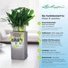 LECHUZA Vaso/floreira CANTO Stone 40 High ALL-IN-ONE cinzento pedra