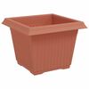 vidaXL Vaso Quadrado para Flores 24 pcs Vermelho Tijolo Pl&aacute;stico