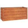 vidaXL Canteiro de jardim 100x40x45 cm a&ccedil;o corten cor enferrujado