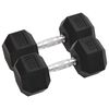 vidaXL Halteres 2 pcs 15 kg total ferro fundido