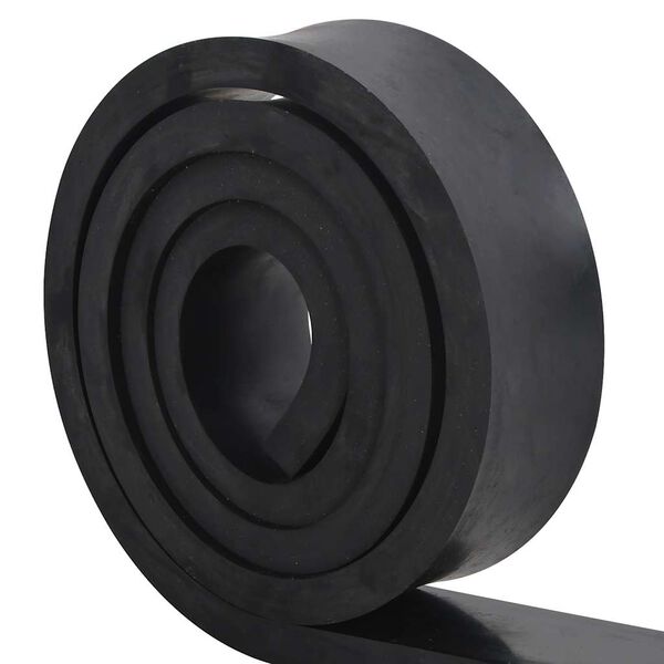 vidaXL Borda de borracha para limpa-neves 250x8x2 cm preto