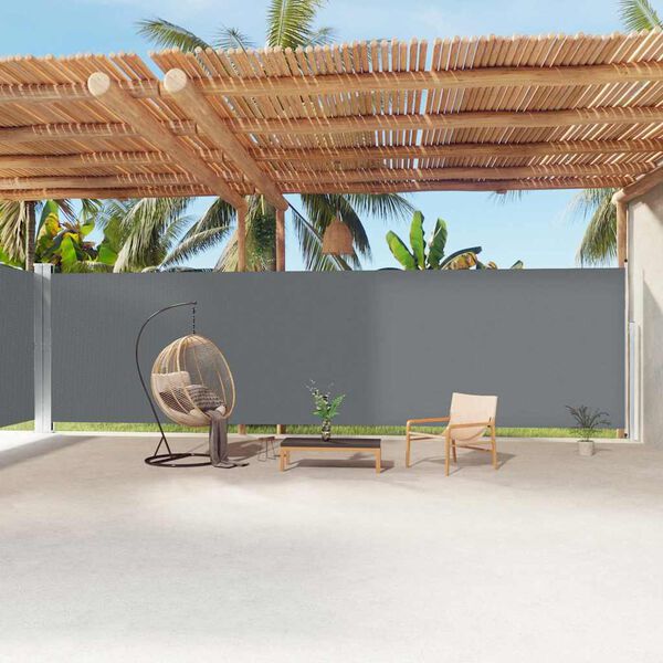 vidaXL Toldo lateral retr&aacute;til 220x1200 cm antracite