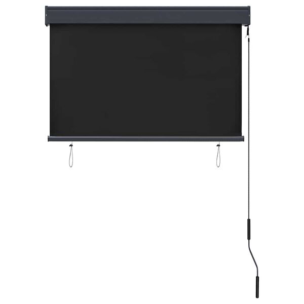 vidaXL Estore de rolo para exterior 100x250 cm antracite