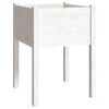vidaXL Vaso/floreira de jardim 2 pcs 50x50x70 cm pinho maciço branco