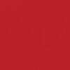 vidaXL Toldo lateral retr&aacute;til 200x600 cm vermelho