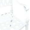 vidaXL Cadeira de Jardim 2 pcs Branco 56 x 55 x 92.5cm Alum&iacute;nio