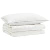 vidaXL Conjunto de Edred&atilde;o 90% Penas de Ganso FULDA 2 pcs 152 x 203 cm