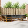 vidaXL Conjunto de Sof&aacute;s para Exterior 6 pcs Natural e Antracite