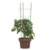 vidaXL Suportes p/ plantas de jardim c/ 3 an&eacute;is 5 pcs 60 cm a&ccedil;o verde