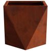vidaXL Floreira 2 pcs Ferro Enferrujado 30 x 30 x 30 cm