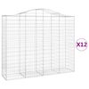 vidaXL Cestos gabião arqueados 12 pcs 200x50x160/180 ferro galvanizado