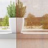vidaXL Cortinas de voile com ilhós 2 pcs terracota