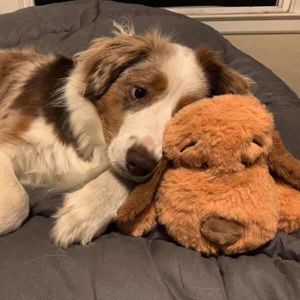 Snuggle Puppy C&atilde;o de peluche com batimento card&iacute;aco castanho