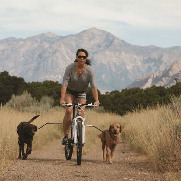 PetEgo Trela de c&atilde;es para bicicleta universal Cycleash 85 cm